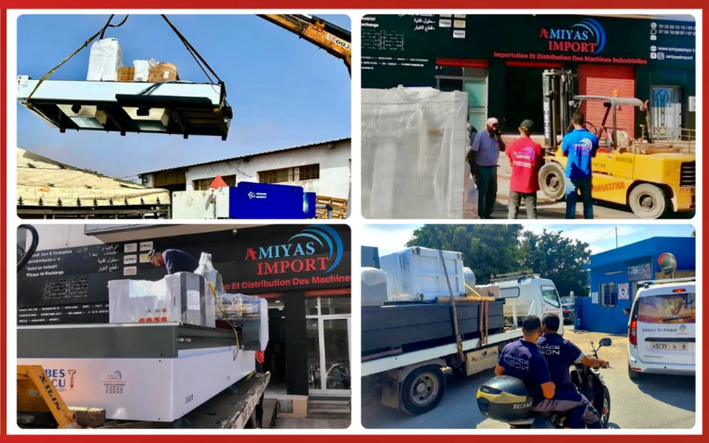 Importation & Logistique