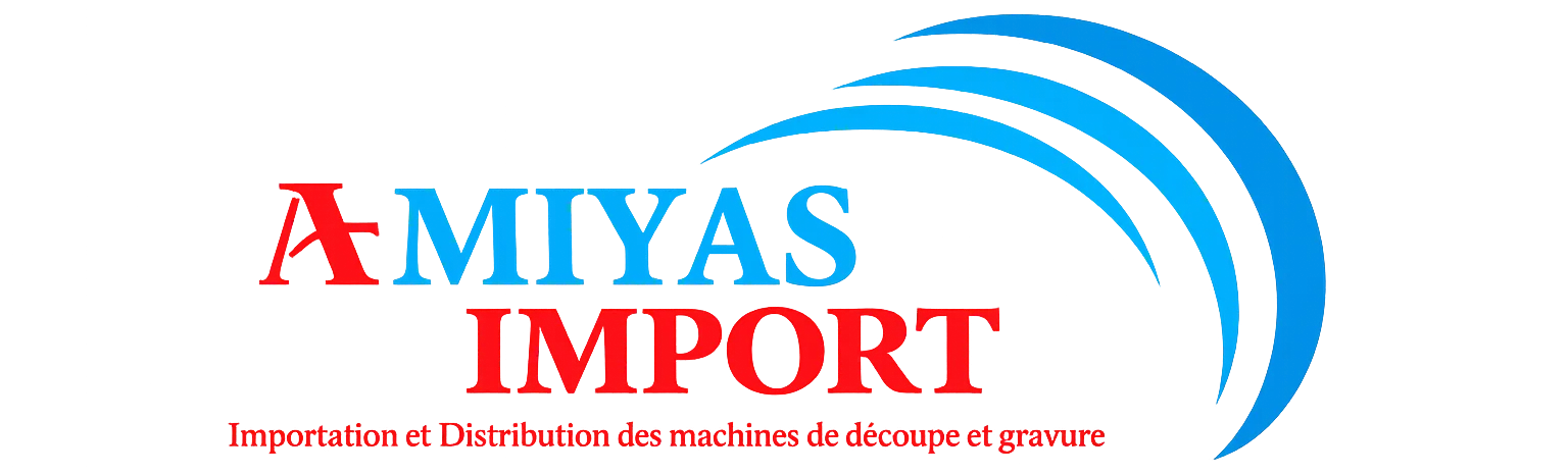 Logo Amiyas Import